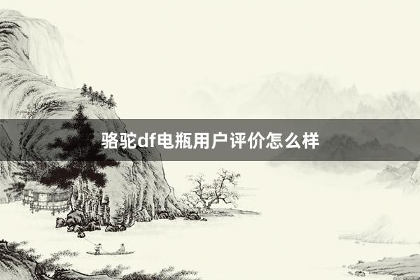骆驼df电瓶用户评价怎么样