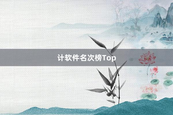 计软件名次榜Top